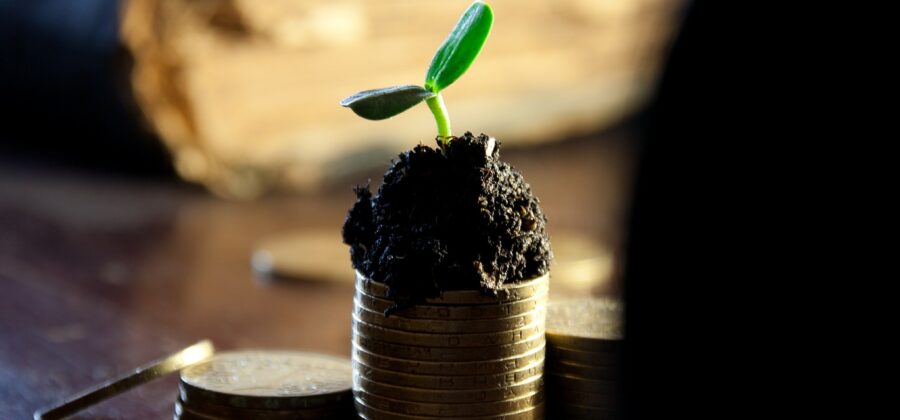 Nejvyšší nástupní platy mají absolventi IT a bankovnictví