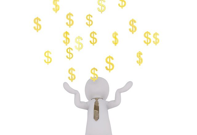 Česko chystá vízový program pro imigranty podnikatele