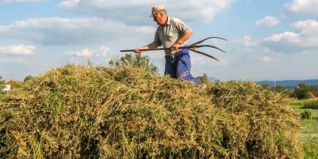 Analytici: Extrémně suché počasí se dotkne hlavně zemědělců