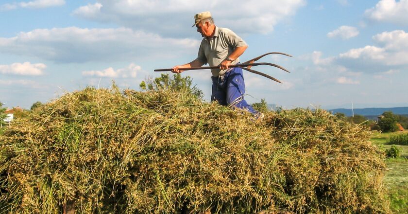 Analytici: Extrémně suché počasí se dotkne hlavně zemědělců