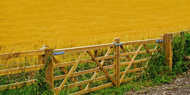 Průmysl zrychlil růst o desetiny, výrazně opět zdražili zemědělci