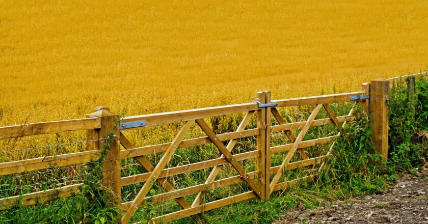 Průmysl zrychlil růst o desetiny, výrazně opět zdražili zemědělci