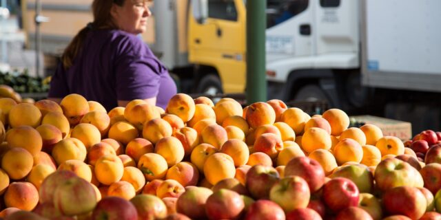 Darovací trhy jsou i nejsou špatně, doporučil bych je ale nepořádat