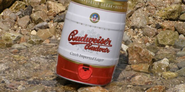 Ředitel Budvaru se opřel do internetového registru smluv