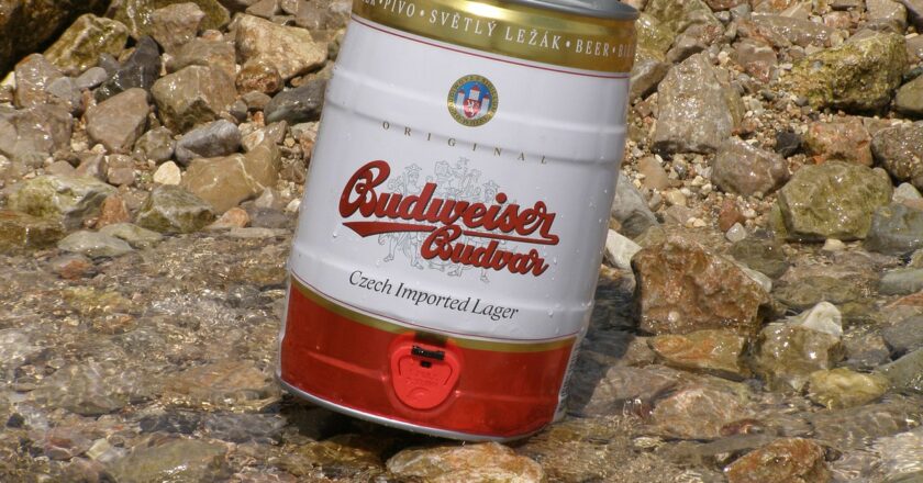 Ředitel Budvaru se opřel do internetového registru smluv