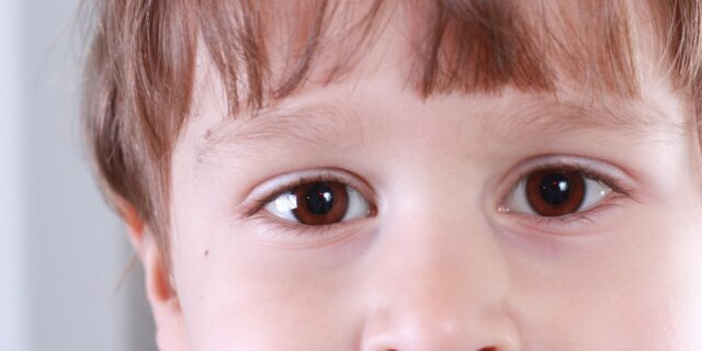 Čtyři sta milionů navíc půjde ještě letos na podporu inkluze