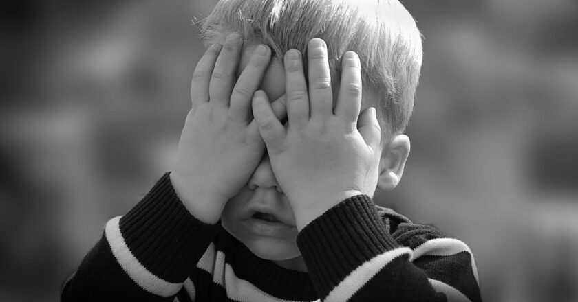 Poradna: Lidé si často pletou pojistky „na blbost“