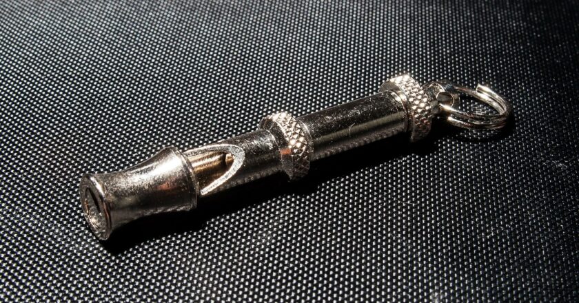 Babišův zákon o whistleblowerech by mohl chránit ty, kdo se bojí výpovědi