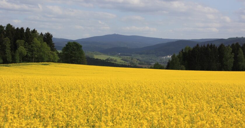 Lithium v Krušných horách bude těžit australská firma