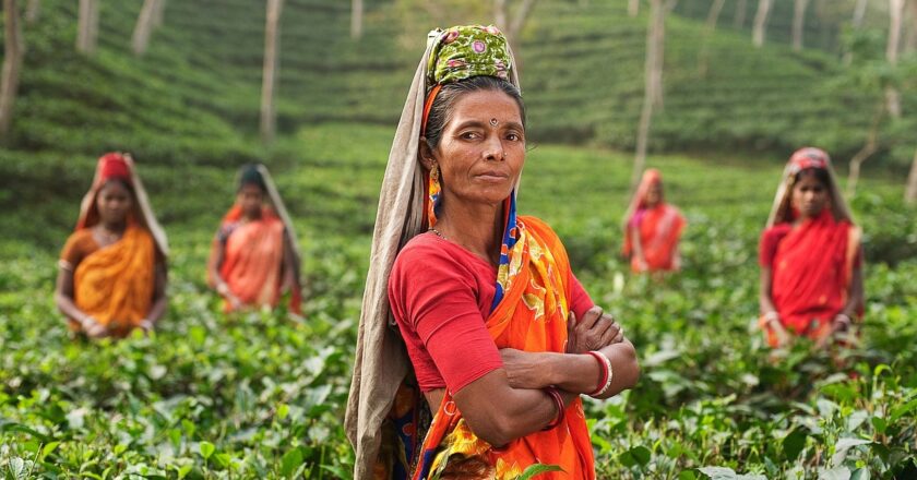 Český podnikatelský inkubátor pomůže firmám prorazit v Indii