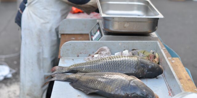 Diletantismus vlády a Ministerstva financí s EET pokračuje