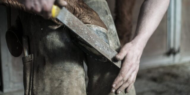 Vliv živnostníků na ekonomiku je u nás větší než v celé EU