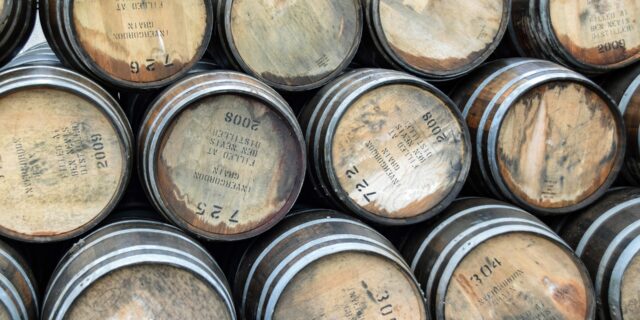 Mladší muži podnikají v IT, starší ve výrobních oborech