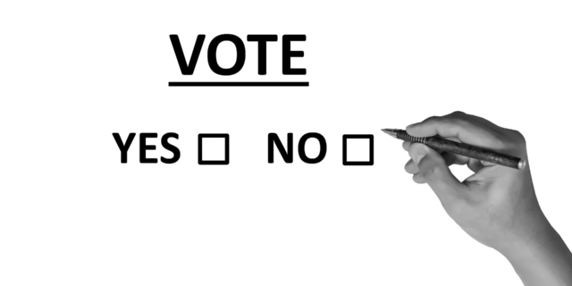 Okamurův zákon o referendu by přinesl chaos a rozvrat