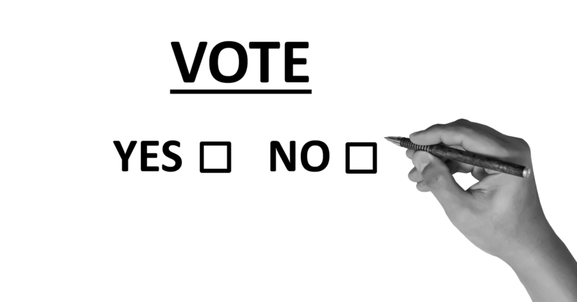 Okamurův zákon o referendu by přinesl chaos a rozvrat