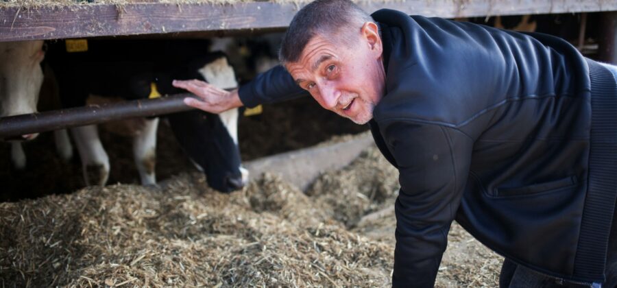 Zdechovského a Peksu má Babiš za vlastizrádce, misi za politickou