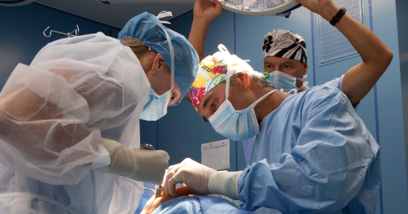 Myslím si, že lékař nemusí být nutně dobrý podnikatel