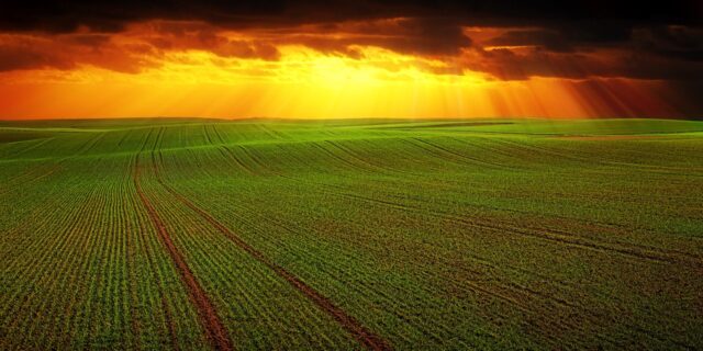 Ceny zemědělské půdy loni zpomalily růst na patnáct procent