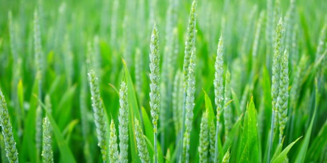 Ekonomika rostla loni v třetím kvartálu nejvíce za dva roky