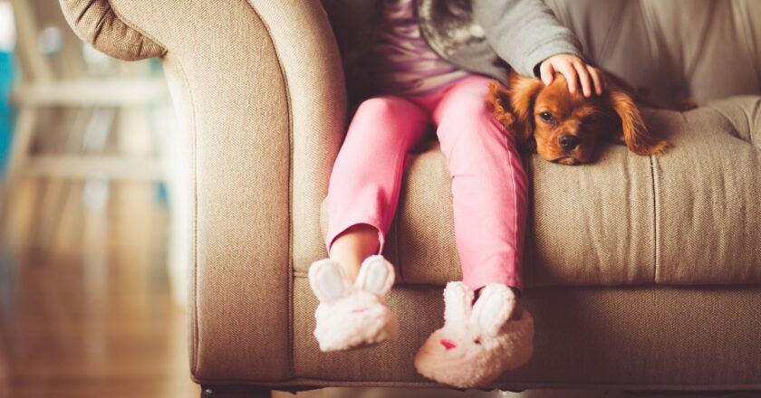 Počet hypoték i jejich celková hodnota loni mírně klesly