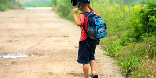 Požadavky na dovednosti zaměstnanců se mění. Co na to školy?