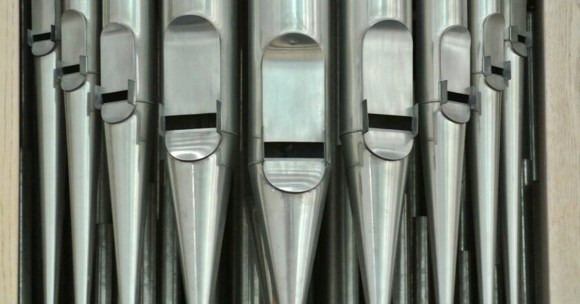 Málo věříme sami sobě, na všechno jsou tu předpisy (I)