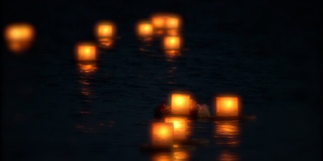 Energii z přirozených procesů v rostlinách lze použít ke svícení