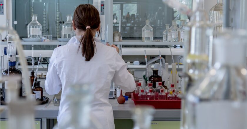 Výběr významných arbitráží vedených proti Česku