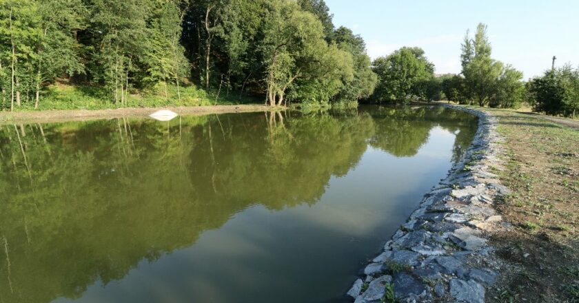 Nové rybníky fungují jako rekultivační projekty po těžbě