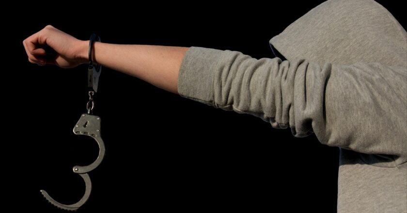 Recenze novely trestního zákoníku