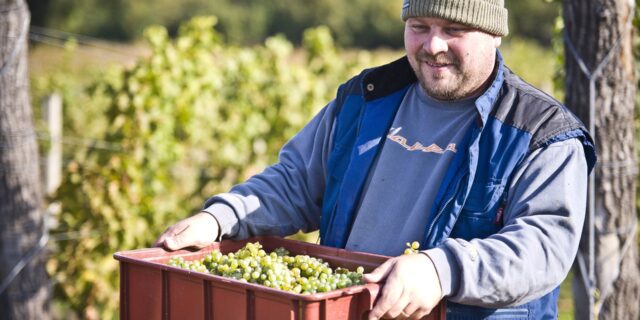 Bylo to strašné, „shnilo“ to, já to posbíral a ono to vyhrálo cenu (I)