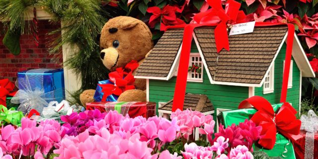 Češi před Vánoci objednají čtyřikrát více květin než obvykle