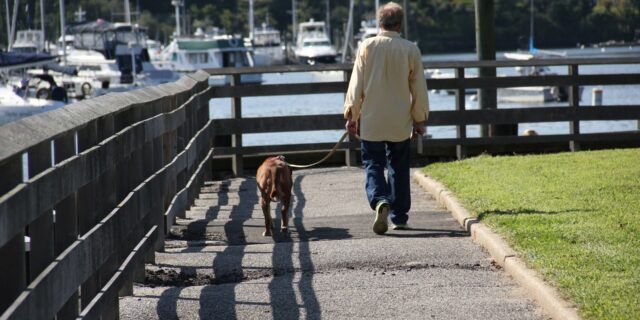 Lidi mají hůř dostupnou zdravotní péči než zvířata. Viník je jasný