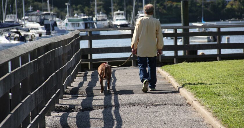 Lidi mají hůř dostupnou zdravotní péči než zvířata. Viník je jasný