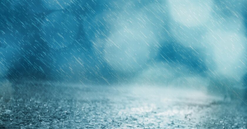 Pojišťovny: Škody po víkendovém větru dosáhnou stovek milionů