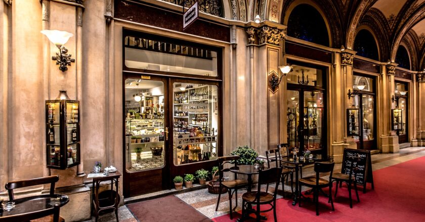 Vídeň se stále víc stává magnetem pro zahraniční startupy