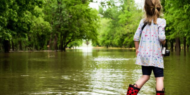 Bouře napáchaly škody za desítky milionů, tisíce lidí bez proudu