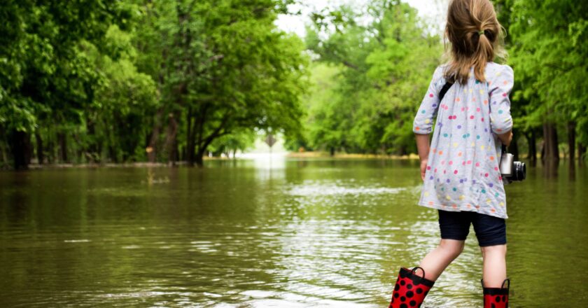 Pojišťovny evidují po deštích stovky škody za deset milionů