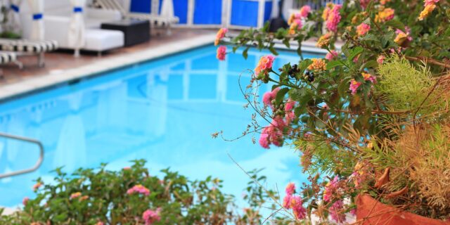 Při prodeji nemovitosti může být bazén výhoda, ale i problém