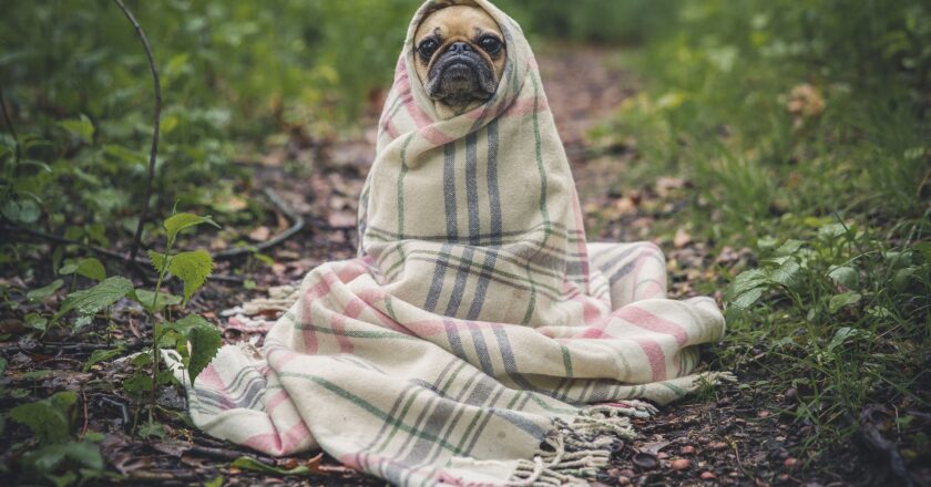 Stát „podpoří“ domácnostem bydlení vyšším zdaněním tepla