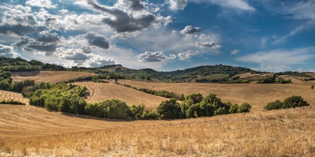 CETA: Globální odklon od principů volného trhu znepokojuje ekonomy