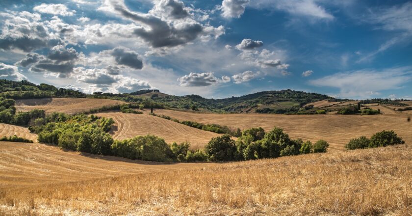 CETA: Globální odklon od principů volného trhu znepokojuje ekonomy