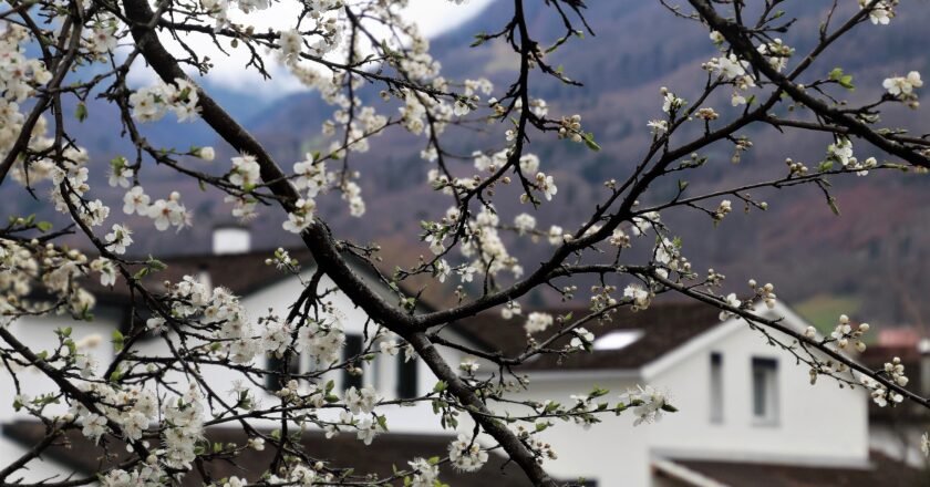 Situace v době pandemie nahrává tomu pořídit si teď nemovitost