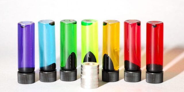 V Drážďanech vznikne česko-saský institut pro výzkum