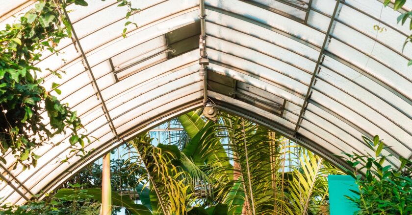 Klimatická krize: Zelené střechy a ježdění na kole nás nespasí