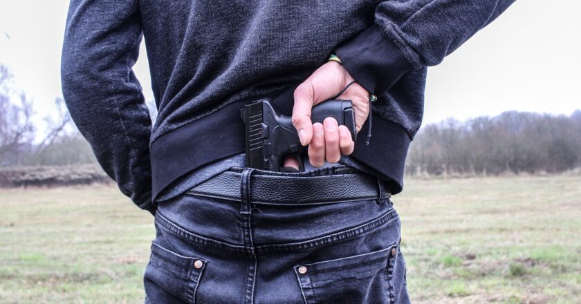 Recenze novely zákona o zbraních a střelivu