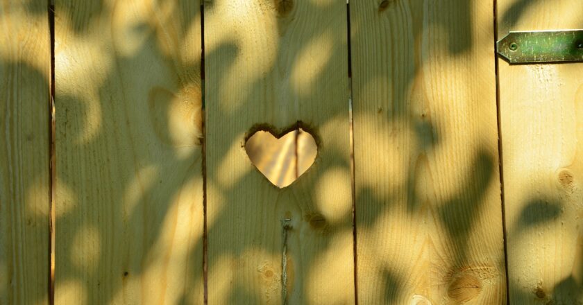 Světový den toalet vyhlášený OSN bojuje za čistotu pitné vody