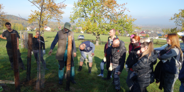 Sberbank sází stromy, jeden za každý sjednaný úvěr