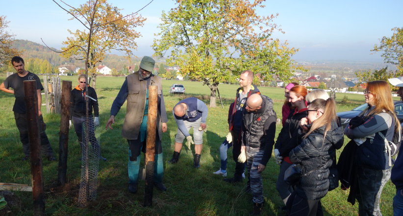 Sberbank sází stromy, jeden za každý sjednaný úvěr
