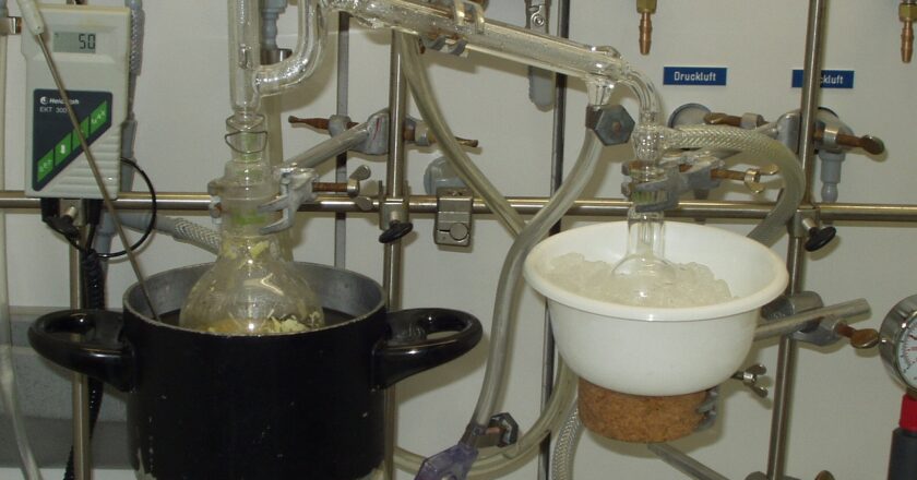 Senát možná navrhne zvýšit množství pálenky s nižší daní